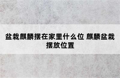 盆栽麒麟摆在家里什么位 麒麟盆栽摆放位置